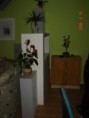 /album/karton-dekoracio/dsc01111-jpg/